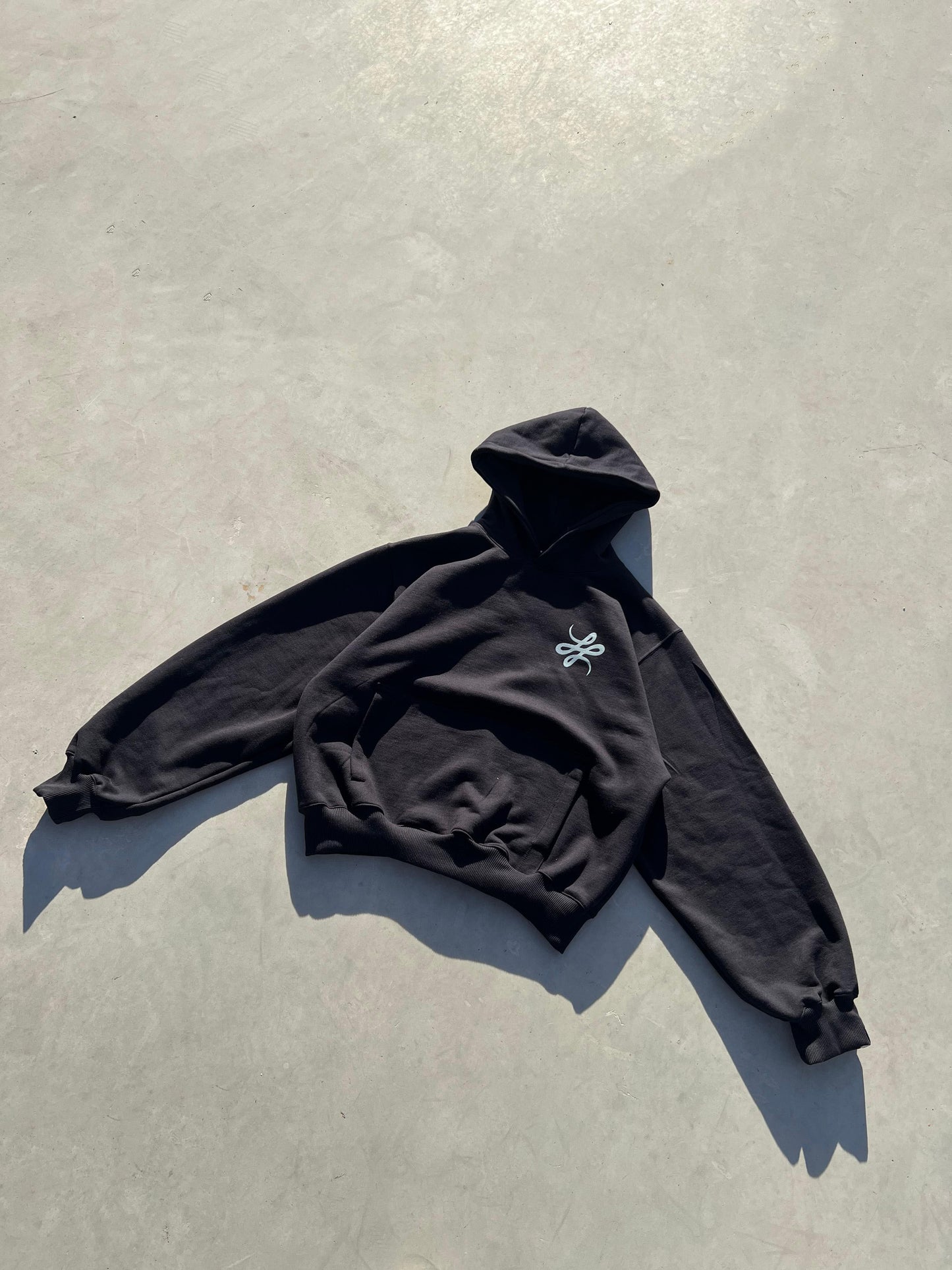 Hoodie "PUNTO COM 6"